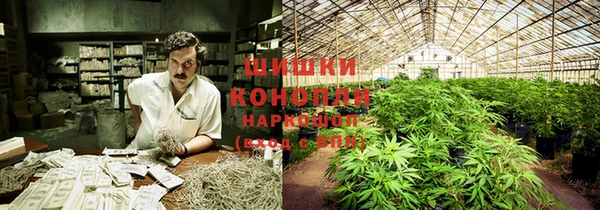 прущие крисы Нягань