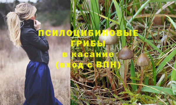 прущие крисы Нягань